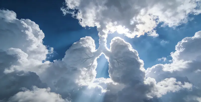 德宏肺癌11基因检测组织版图片1